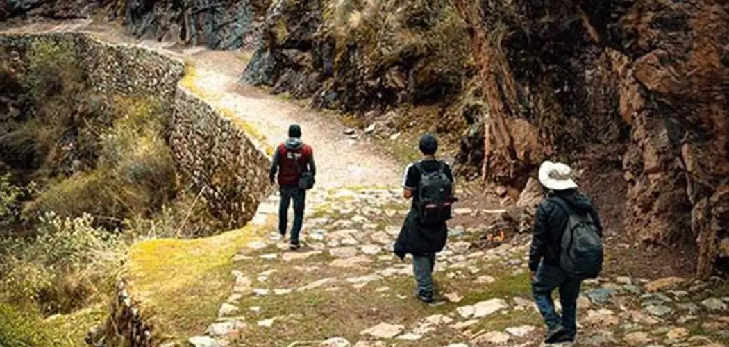 Biodiversity of the Inca Trail