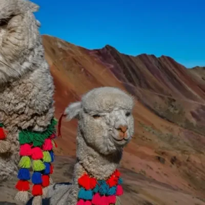 Discover the Best Tours to Cusco with Guiding Cusco Expeditions