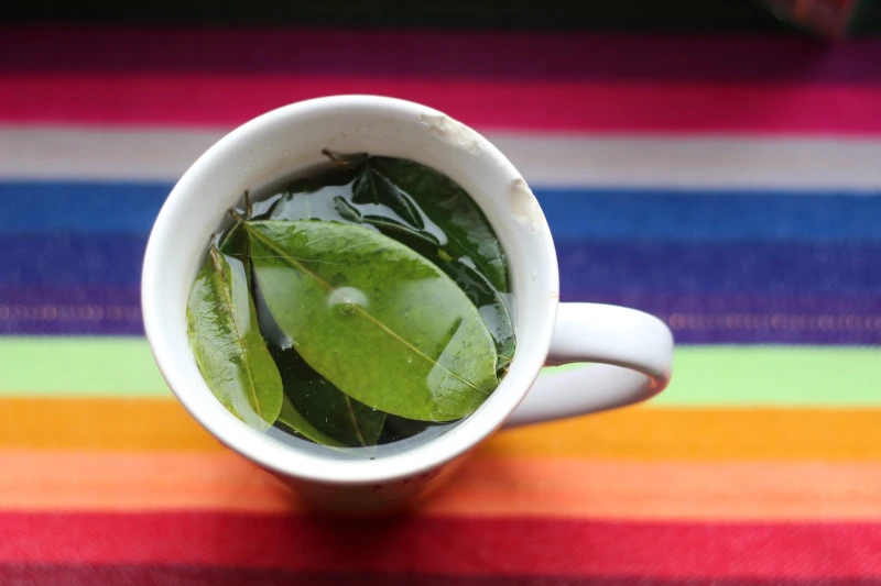 coca leaves